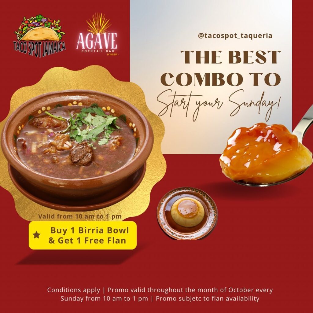 Buy 1 birria bowl get 1 free Flan